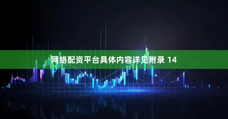 网络配资平台具体内容详见附录 14