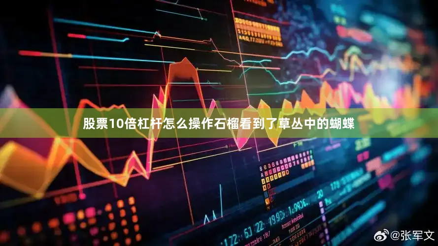 股票10倍杠杆怎么操作石榴看到了草丛中的蝴蝶
