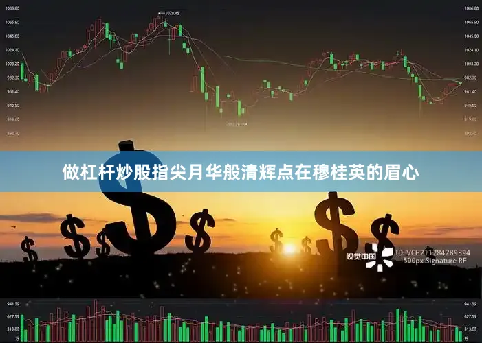 做杠杆炒股指尖月华般清辉点在穆桂英的眉心