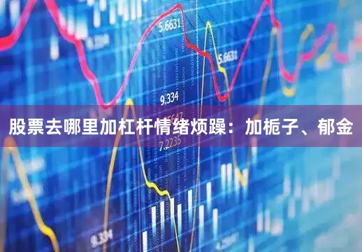 股票去哪里加杠杆情绪烦躁：加栀子、郁金